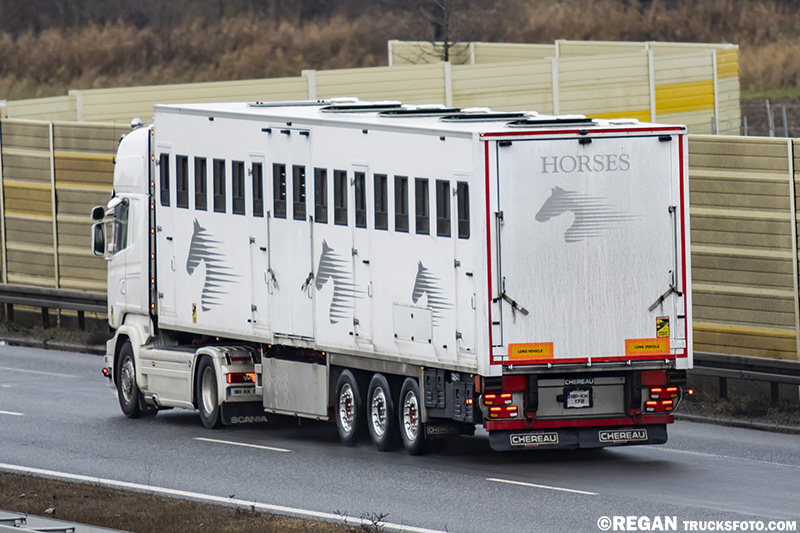 Scania R520 V8 Streamline .jpg