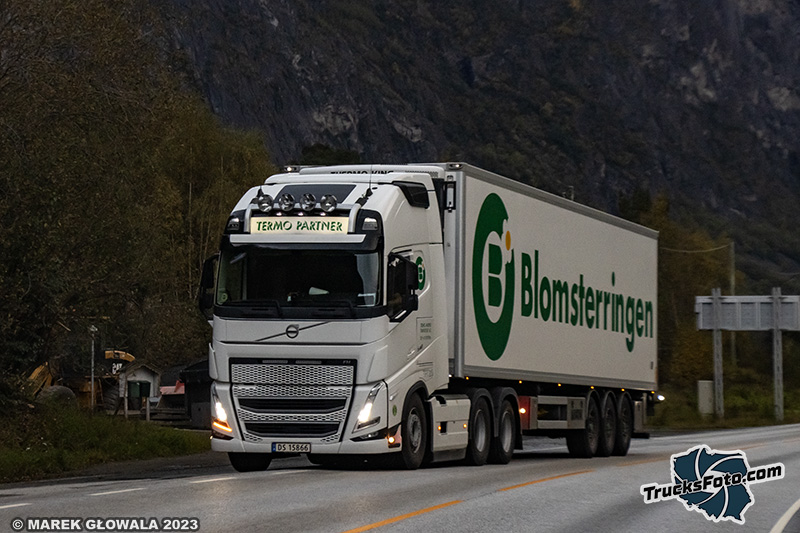 Volvo FH5 - Termo Partner Blomsterringen.jpg