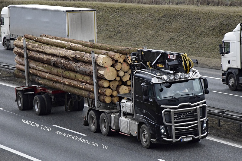 _DSC4443 DREWNO-crop-VOLVO FH3.JPG