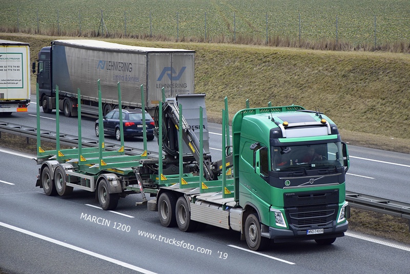 _DSC4454 DREWNO-crop-VOLVO FH4.JPG