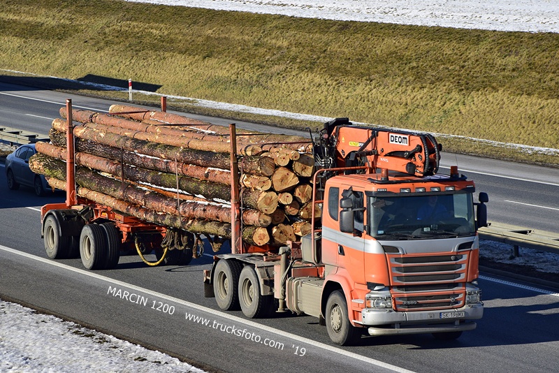_DSC4261 DREWNO-crop-SCANIA R580 V8.JPG