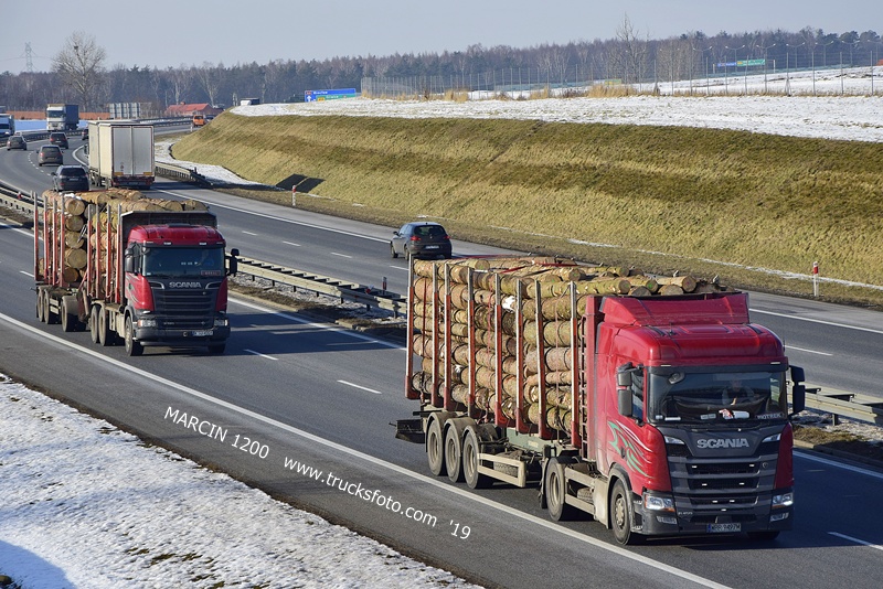 _DSC4283 DREWNO-crop-SCANIA.JPG