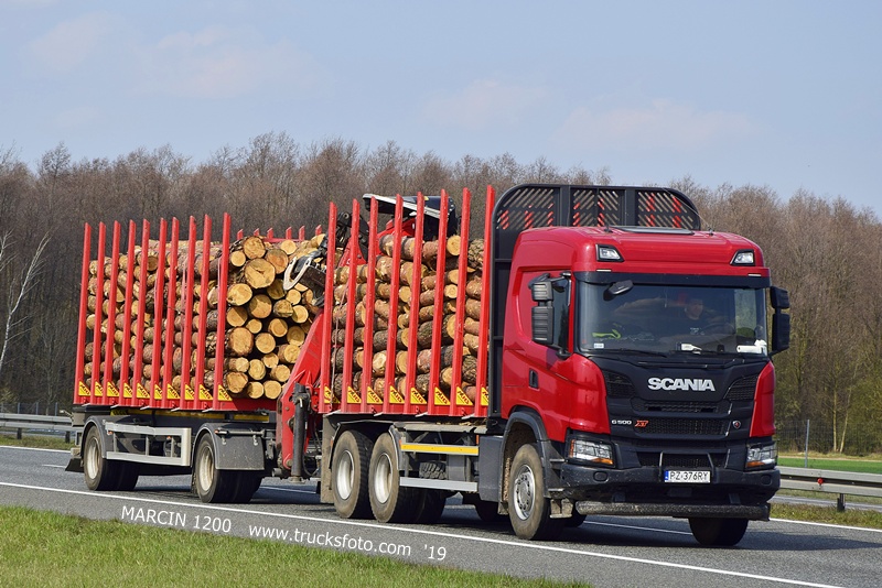 _DSC5420 DREWNO-crop-SCANIA G500 XT.JPG