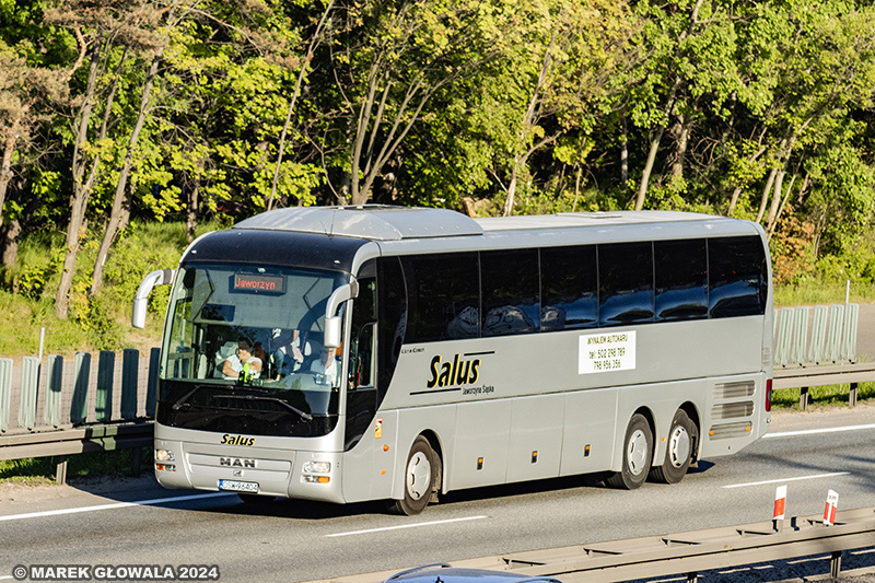 MAN Lions Coach Salus.jpg