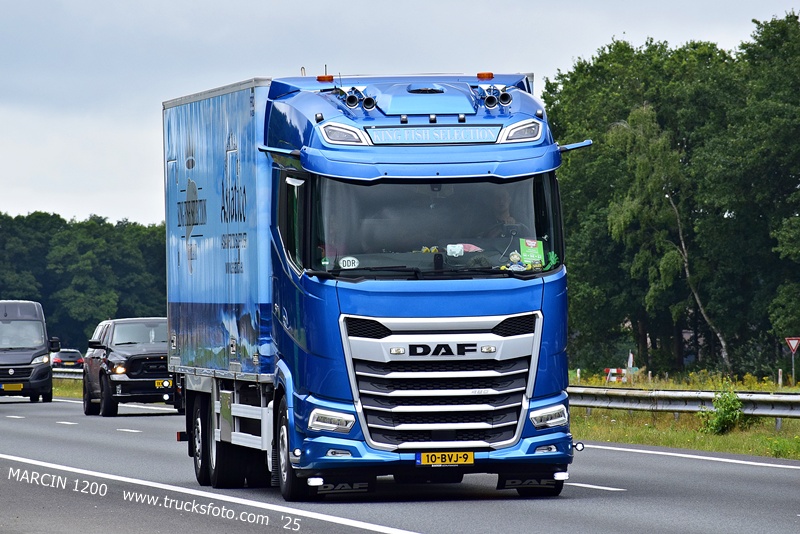 _DSC9973 KING FISH SELECTION-crop-DAF.JPG