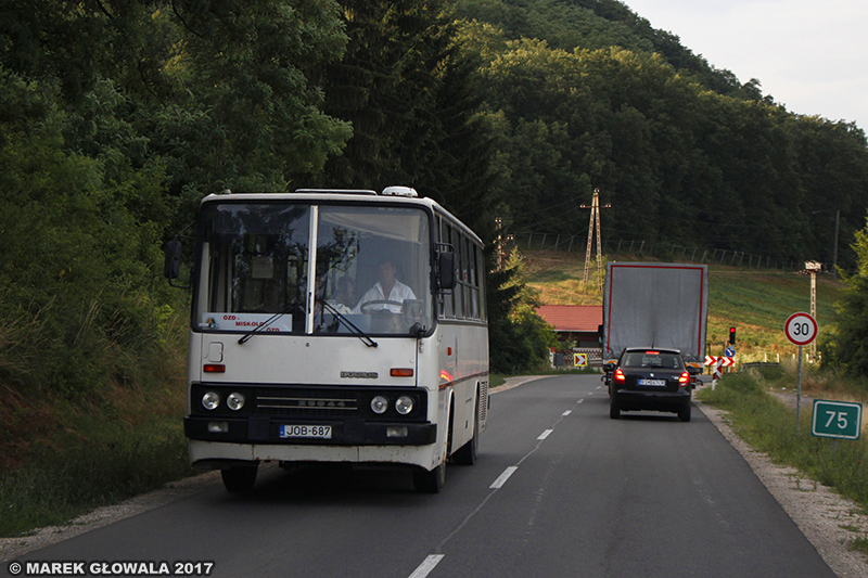 Ikarus 256.jpg