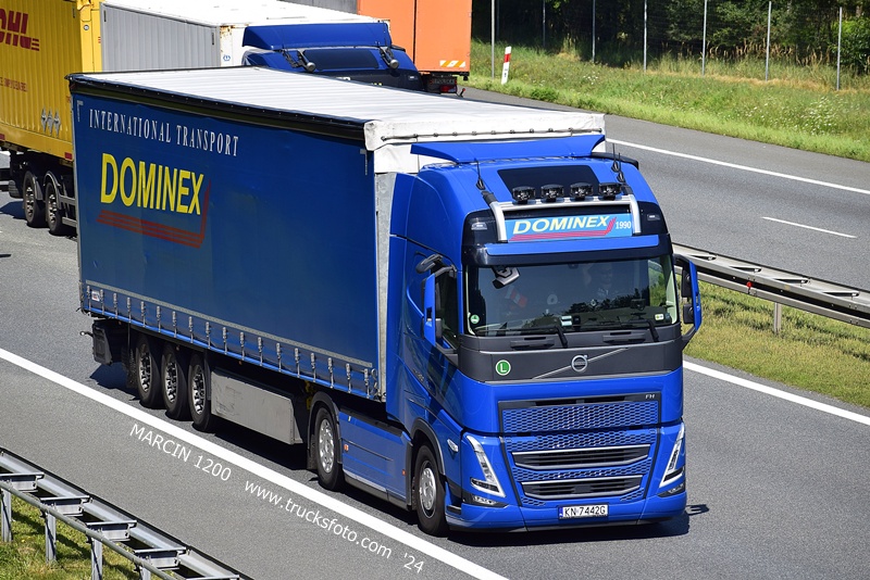 _DSC00011 (1388) DOMINEX-crop-VOLVO FH5.JPG