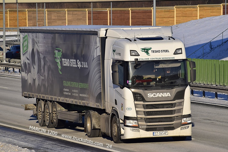 _DSC00011 (2535) TESKO STEEL-crop-SCANIA R NG.JPG