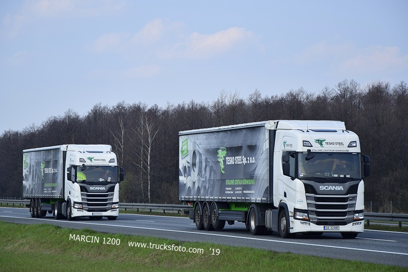 _DSC5416 Tesko Steel-crop-SCANIA R NG.JPG