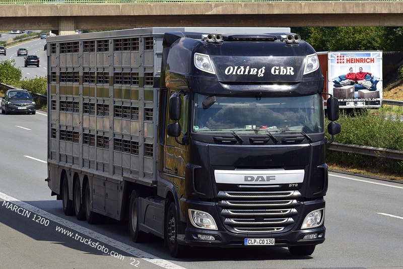 _DSC6640 OLDING GbR-crop-DAF XF 106.JPG