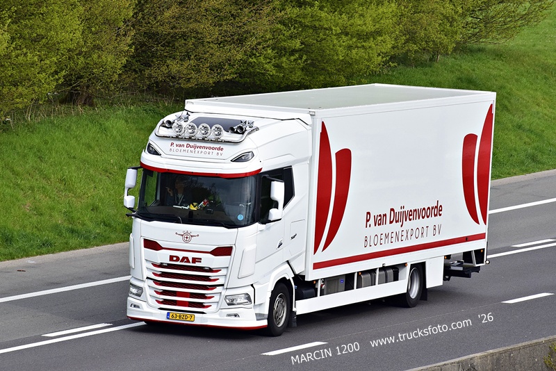_DSC5776 P.VAN DUIJVENVOORDE-crop-DAF XG+.JPG