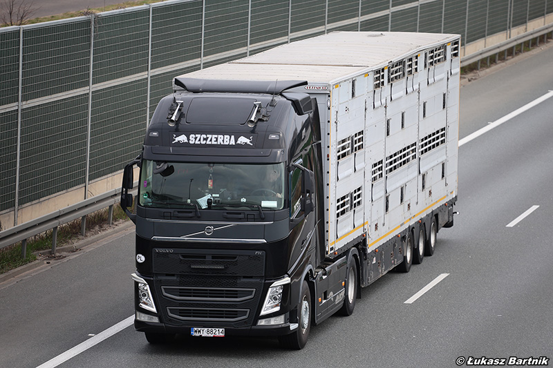 IMG_3453 Volvo FH Szczerba.jpg