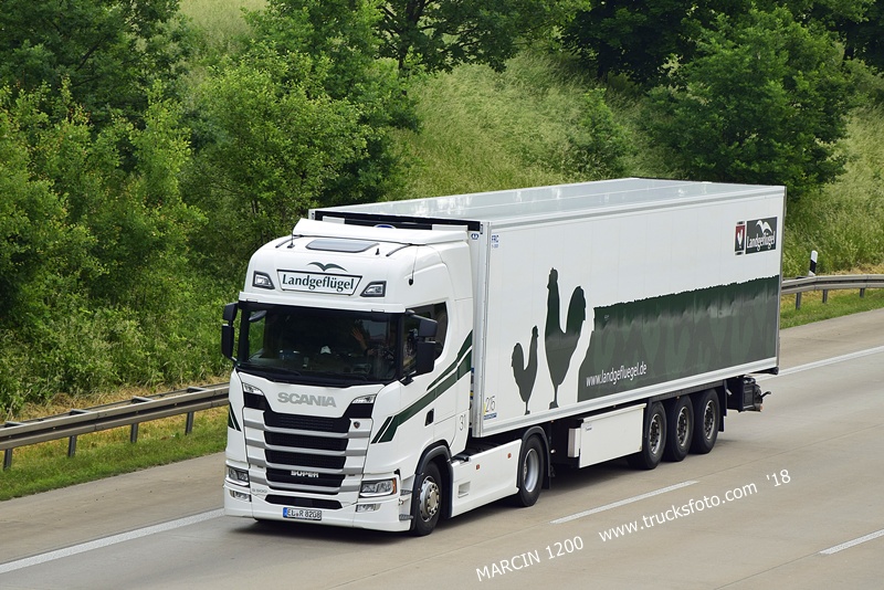 _DSC9946 Landgeflugel-crop-SCANIA S.JPG