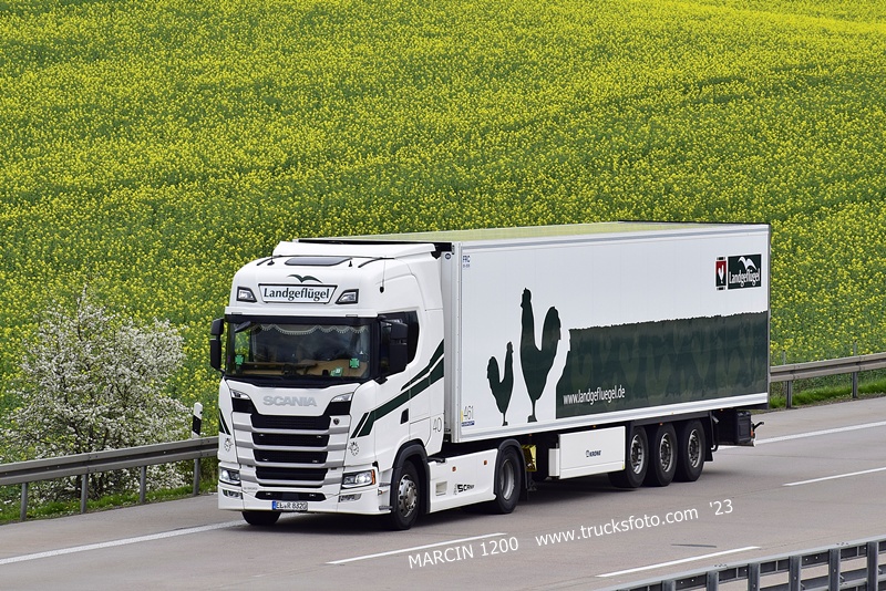 _DSC1612 LANDGEFLUGEL-crop-SCANIA S.JPG