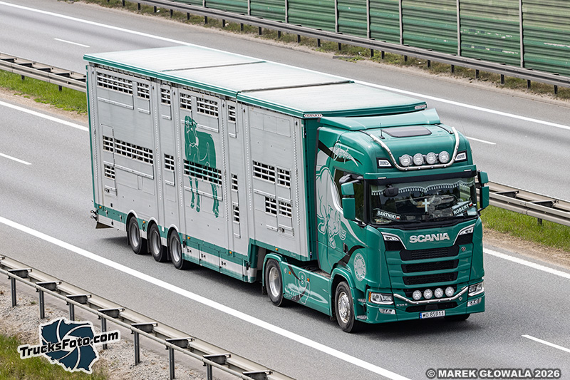 Scania 530S V8 - Dorotex.jpg