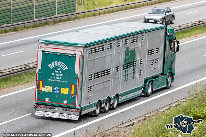 Scania 530S V8 Dorotex.jpg