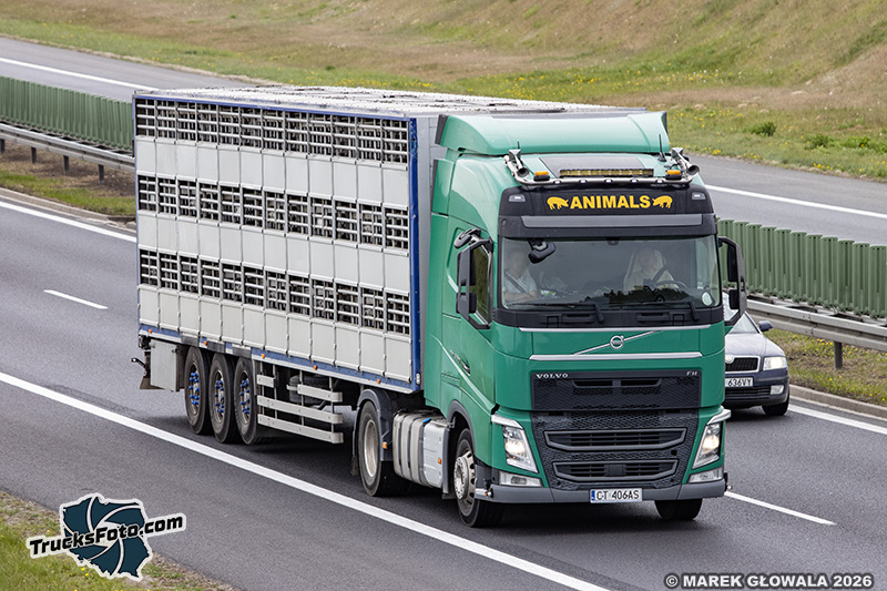 Volvo FH4 - Animals.jpg