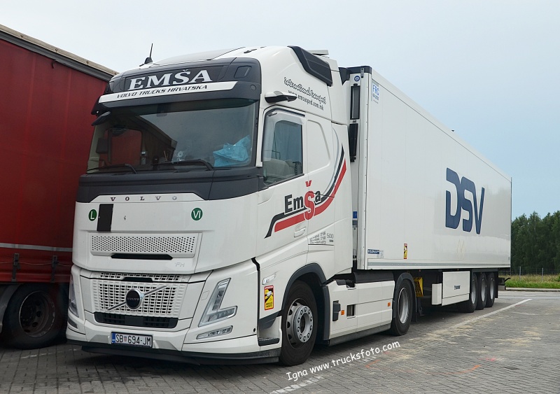 emsa.JPG
