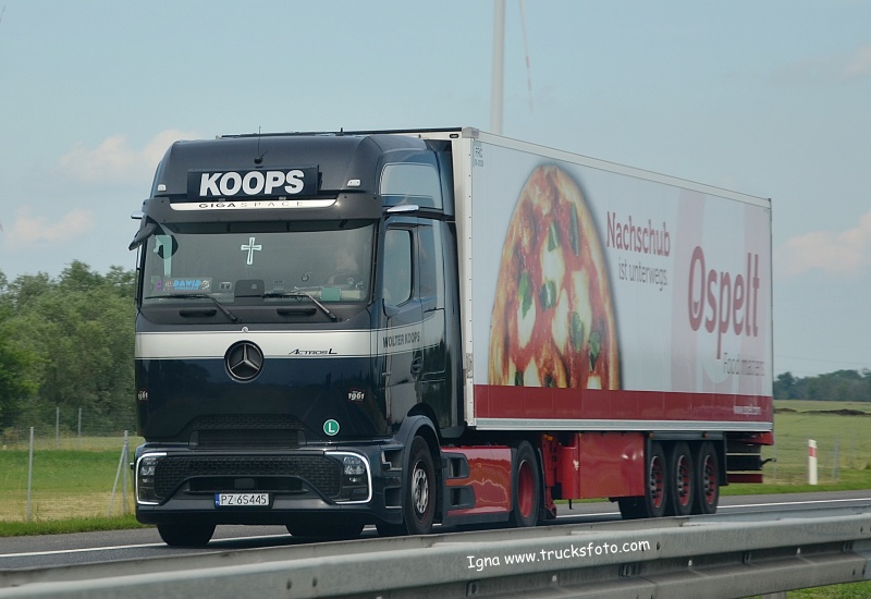 koops.JPG