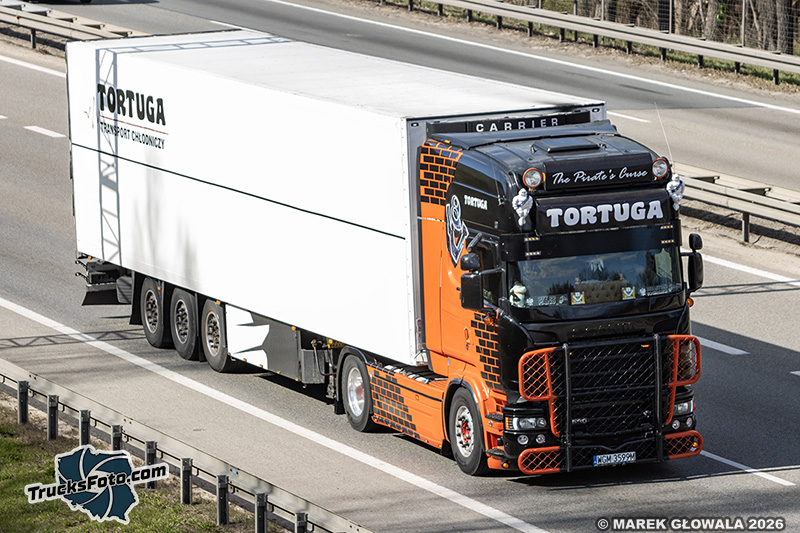Scania R560 V8 - Tortuga.jpg