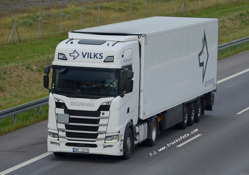 vilks 7.JPG