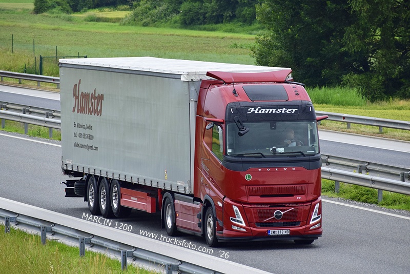 _DSC8258 HAMSTER-crop-VOLVO FH AERO.JPG
