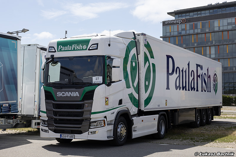 IMG_0556 Scania R Paula Fish PMS26.jpg