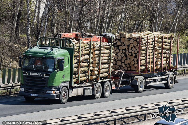 Drewno Scania R450.jpg