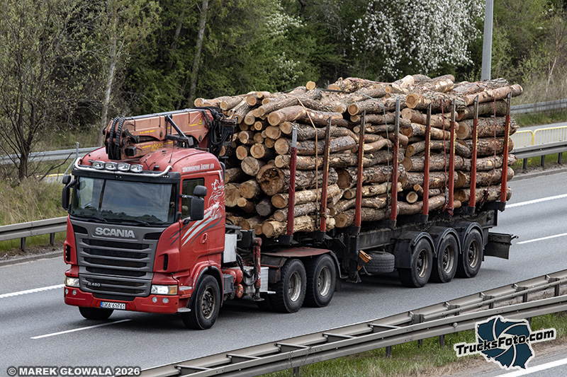Drewno Scania R480 ex. Brorssons Akeri.jpg