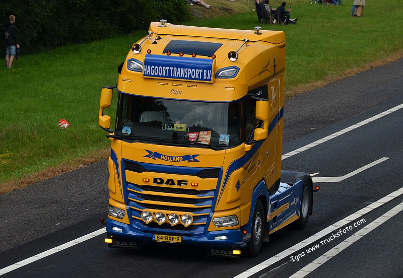 hagoort2.JPG