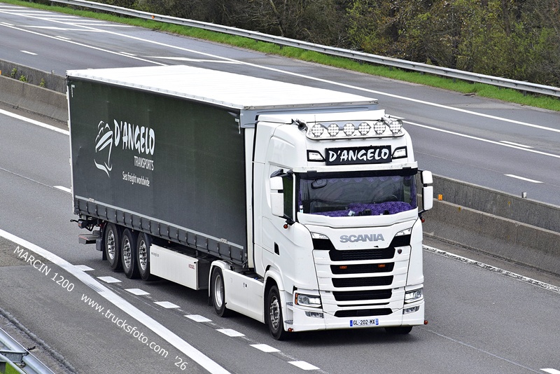 _DSC5360 D'ANGELO-crop-SCANIA S.JPG
