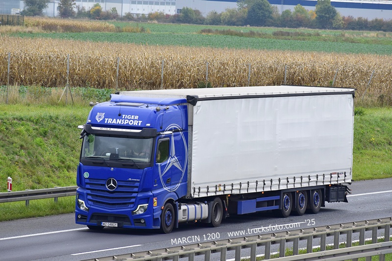 _DSC3265 TIGER TRANSPORT-crop-ACTROS MP5.JPG