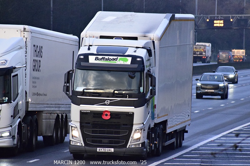 _DSC9227 BUFFALOAD-crop-VOLVO FH4.JPG