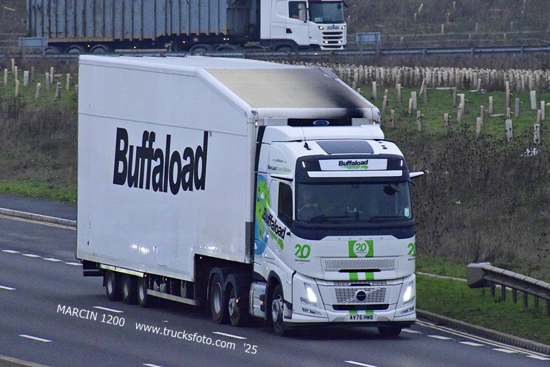 _DSC9864 BUFFALOAD-crop-VOLVO FH AERO.JPG