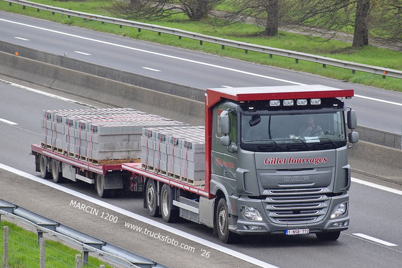 _DSC5183 GILLET FOURRAGES-crop-DAF XF.JPG