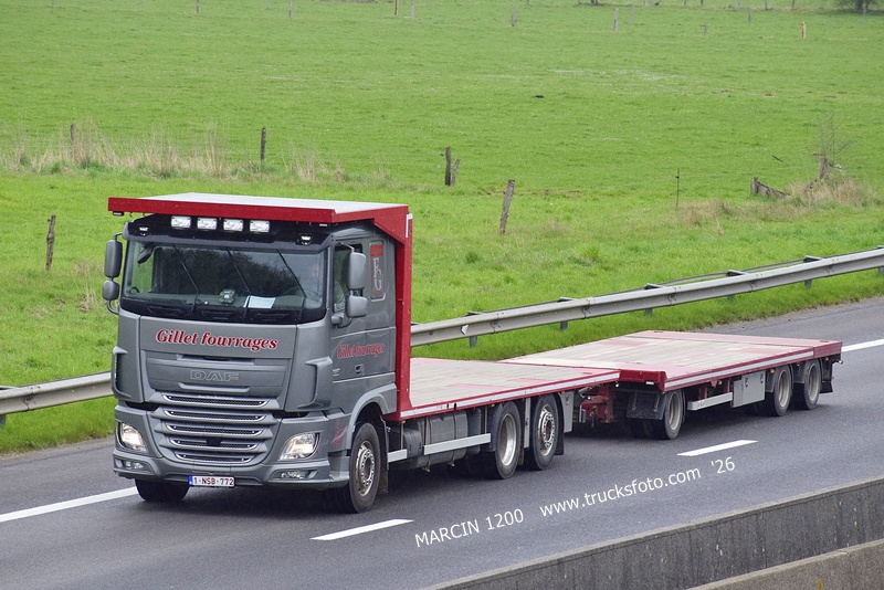 _DSC5288 GILLET FOURRAGES-crop-DAF XF.JPG