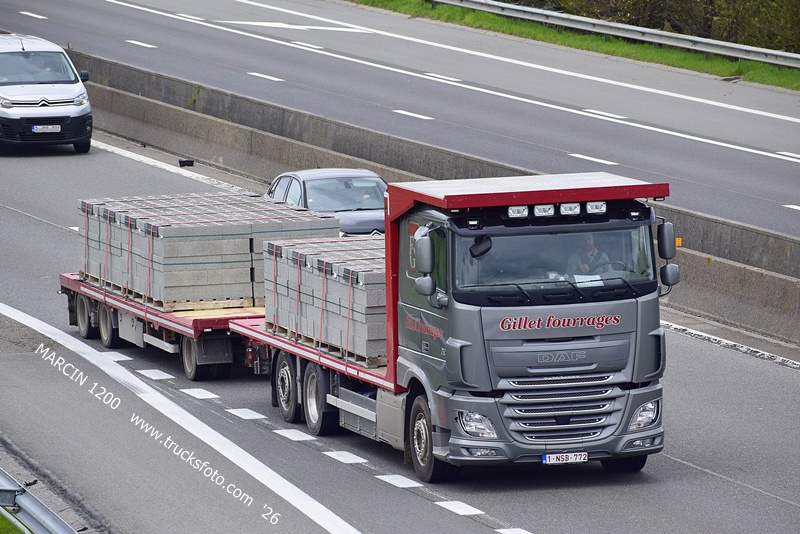 _DSC5570 GILLET FOURRAGES-crop-DAF XF 106.JPG