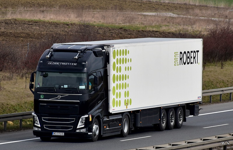 Volvo_FH4_Robert_PL_2.jpg