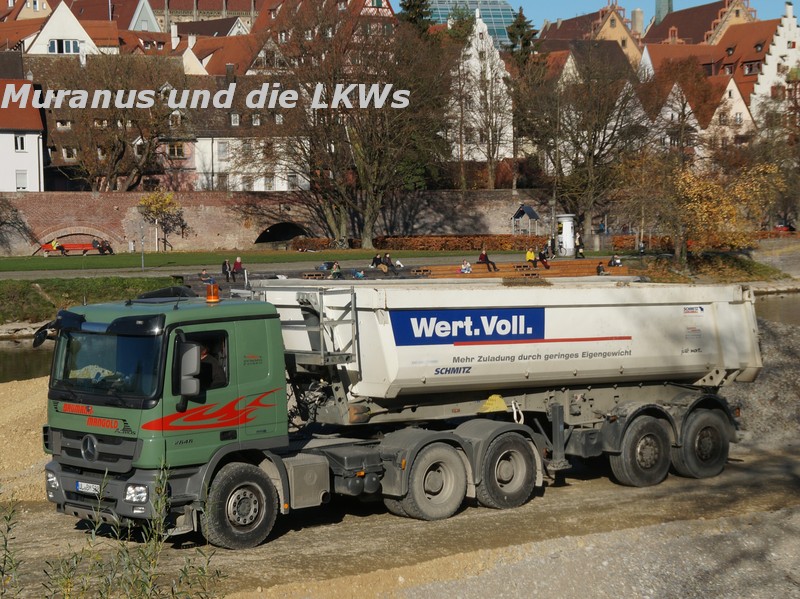 Ulm Ausbaggerung Donau