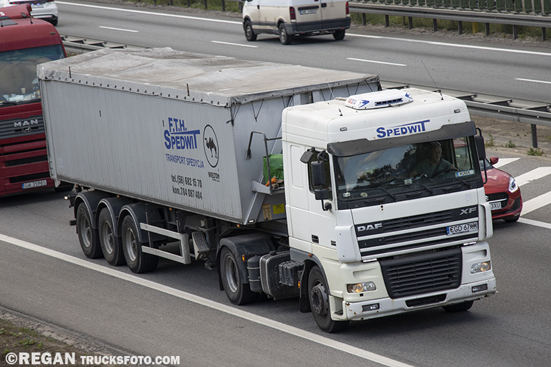 spedwit33.jpg