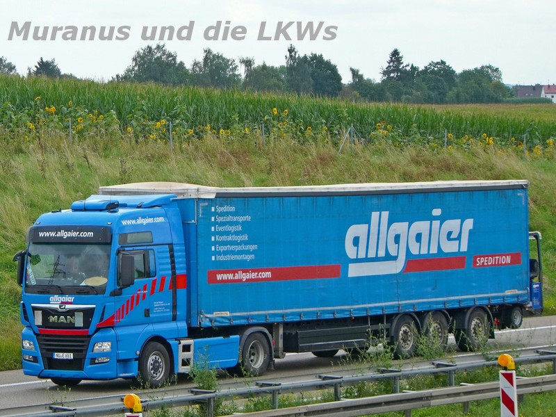 A7 (D)