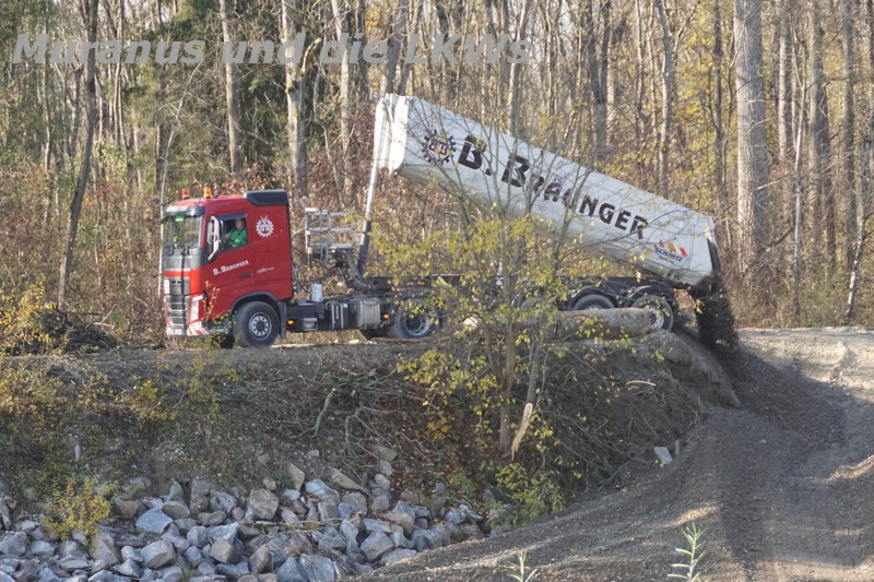 in der Nähe von Ulm
