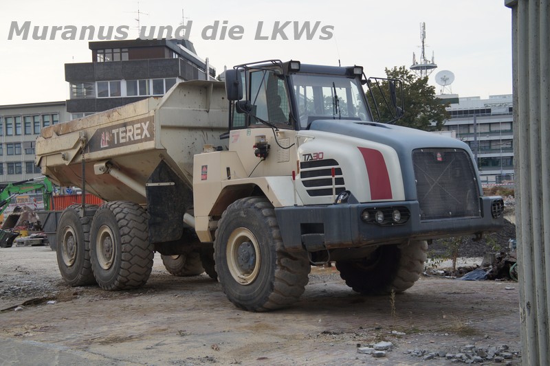 in Ulm