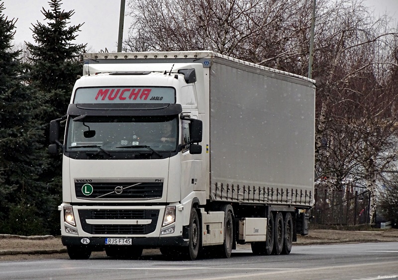 2019-02-13 11.56.40.jpg