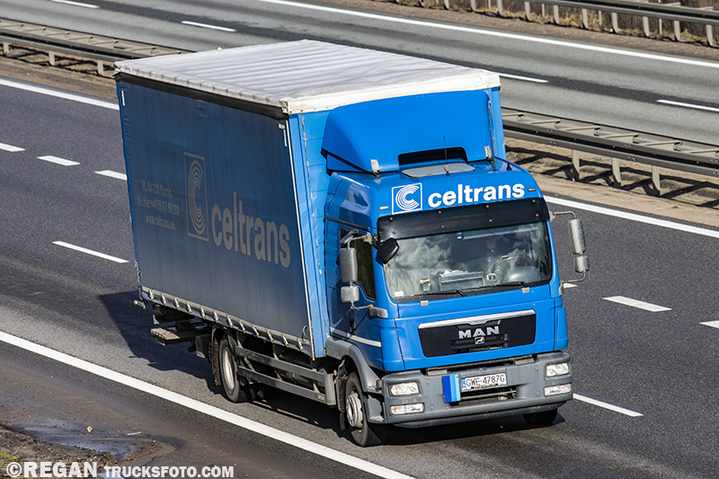celltrans3.jpg