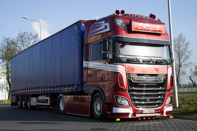 DSC_0828kopia1 tf.jpg