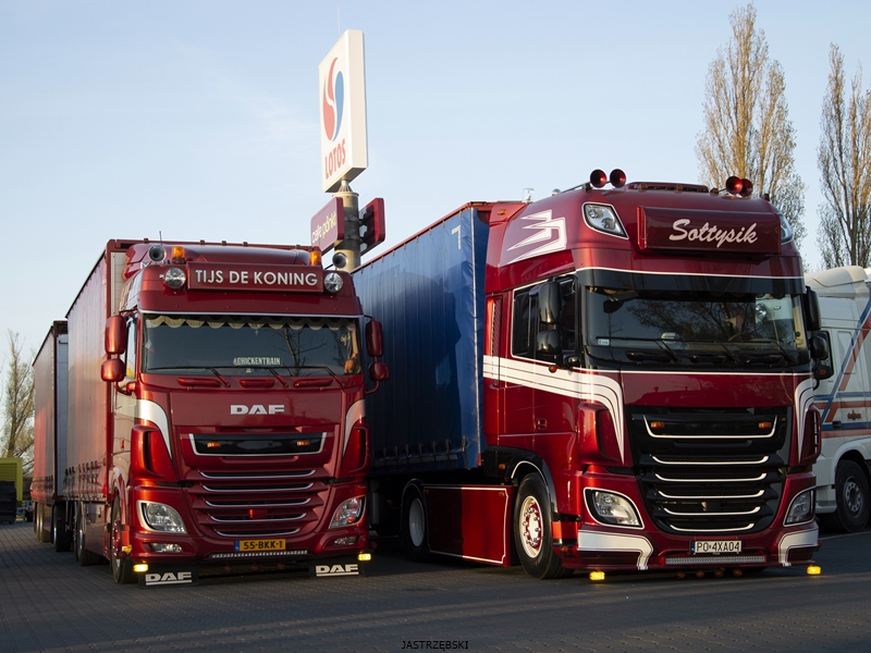 DSC_0904kopia1 tf.jpg