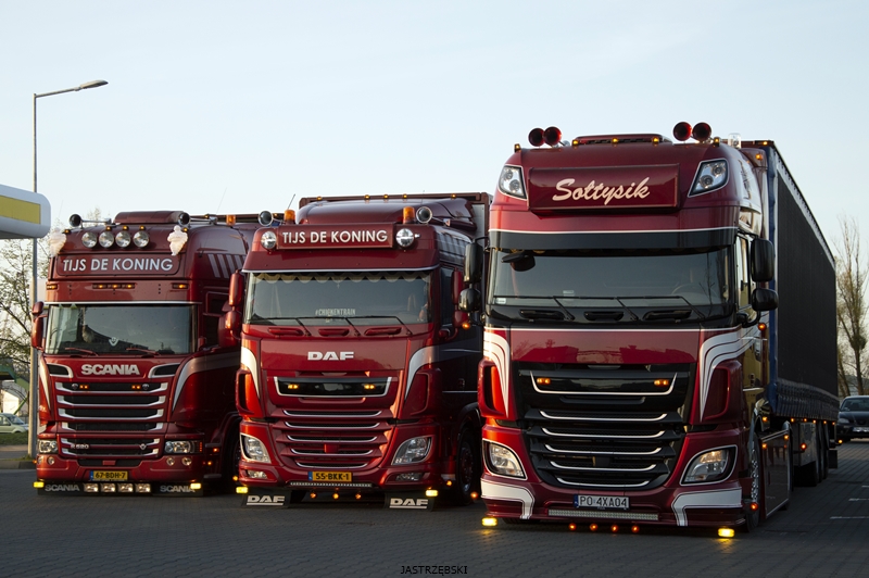 DSC_0948kopia1 tf.jpg