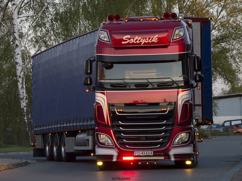 DSC_0980kopia1 tf.jpg