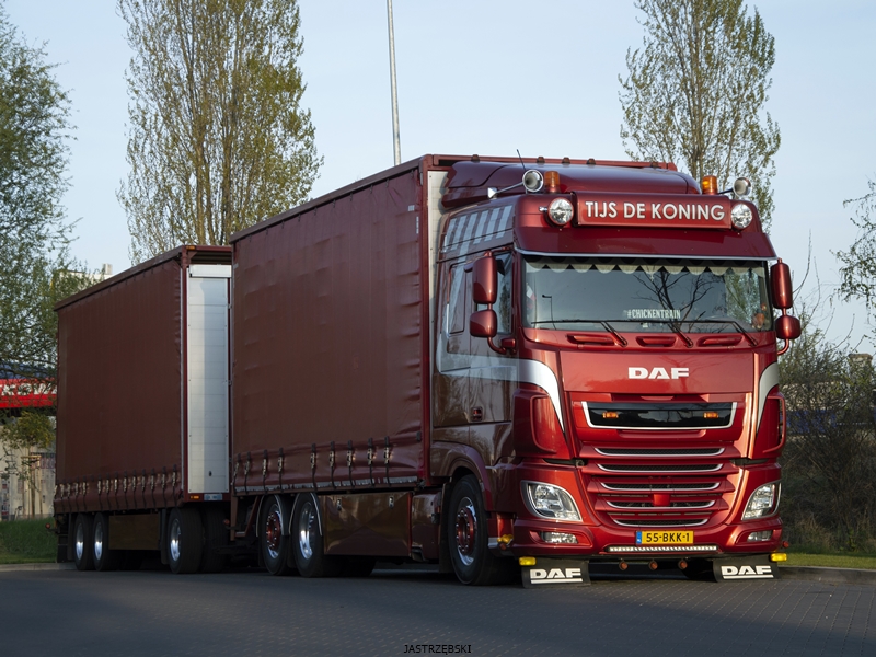 DSC_0869kopia1 tf.jpg